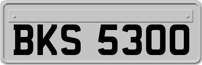 BKS5300
