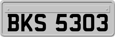 BKS5303
