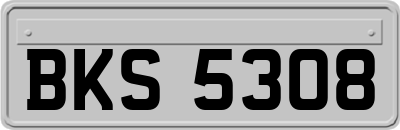 BKS5308