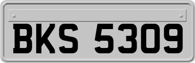 BKS5309