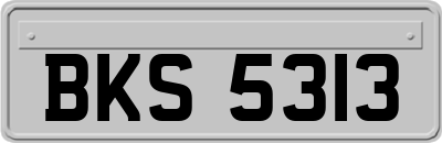 BKS5313
