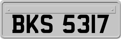 BKS5317