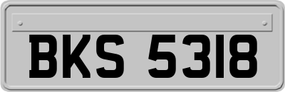BKS5318