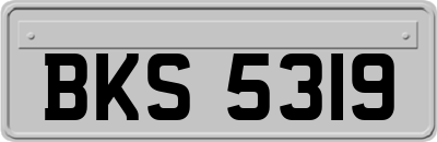 BKS5319