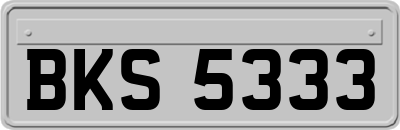 BKS5333