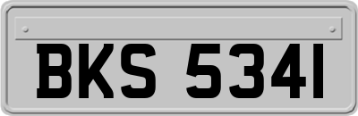 BKS5341
