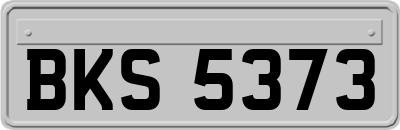 BKS5373