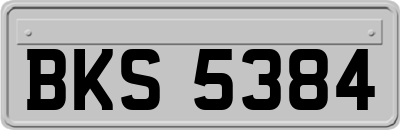 BKS5384