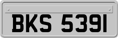 BKS5391