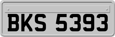 BKS5393