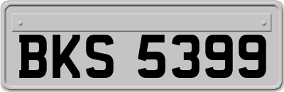 BKS5399