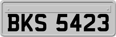 BKS5423