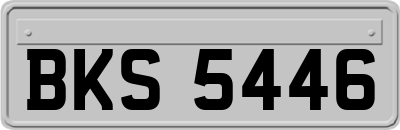BKS5446
