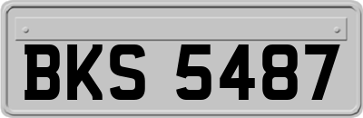 BKS5487