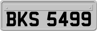 BKS5499