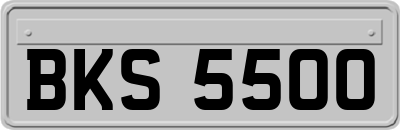BKS5500