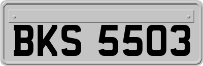 BKS5503