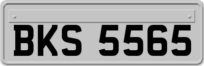 BKS5565