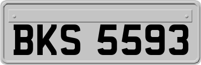 BKS5593