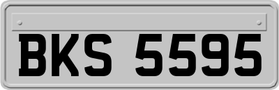 BKS5595