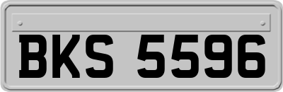 BKS5596