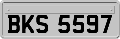 BKS5597