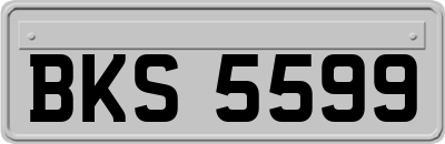 BKS5599