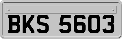 BKS5603