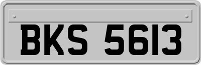 BKS5613