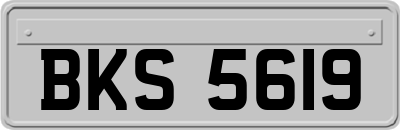 BKS5619