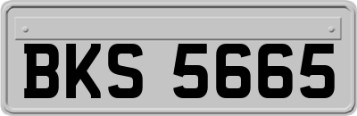 BKS5665