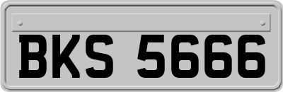 BKS5666