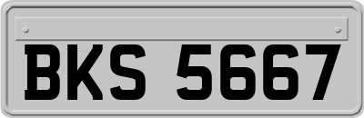BKS5667