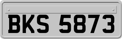BKS5873