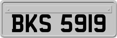 BKS5919