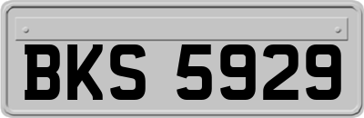 BKS5929
