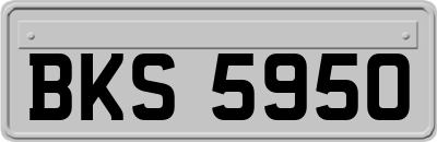 BKS5950