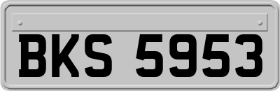 BKS5953
