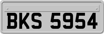 BKS5954