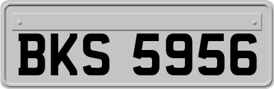 BKS5956