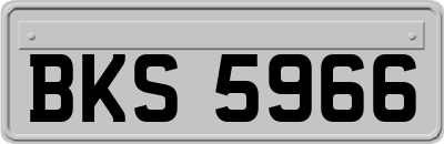 BKS5966
