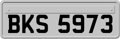 BKS5973