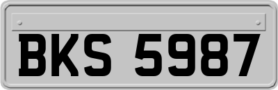 BKS5987