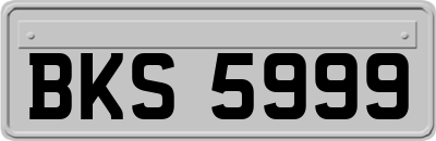 BKS5999