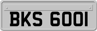BKS6001