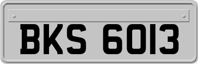 BKS6013
