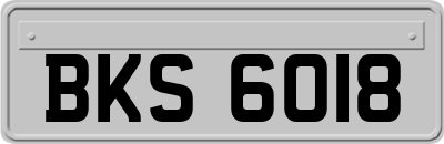 BKS6018