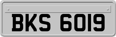 BKS6019