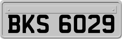 BKS6029