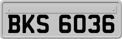 BKS6036